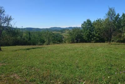 Teren Construcții intravilan de 8757 mp, în Luncoiu de Sus - 12