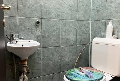 Apartament 4 camere, 120mp utili, cladire istorica, parter -   Central - 9