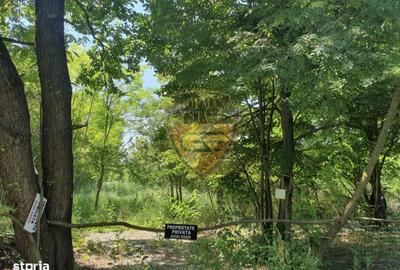 Spațiu comercial, în Central - 3