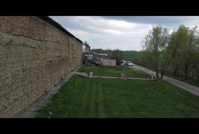 Spațiu industrial, 40000 mp în Orțișoara