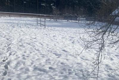 Vanzare 2 case tradi?ionale, 3 camere + teren, 3450 mp, Ca - 2