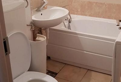 Inchiriez garsoniera Piata Progresul - 4