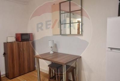 Apartament cu 1 camere de inchiriat in zona Semicentrala - 5