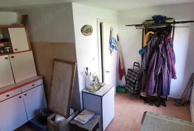 Casă cu 2 camere în Sebiș - 9