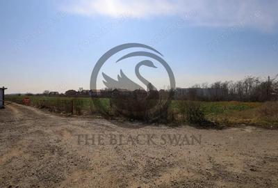 Teren de 7800 mp, în Târgșoru Nou - 6