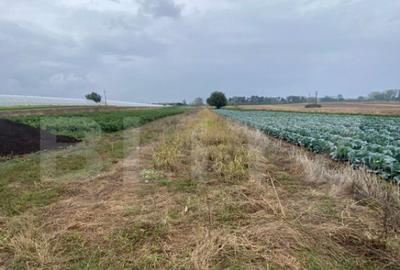 Teren de vanzare, 4700 mp, Strada Brazilor - 4