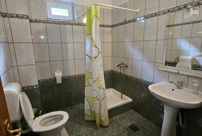 Casa spa?ioasa cu 4 camere, situata in zona centrala Pitesti, la 1 minut de Padurea Trivale - 4