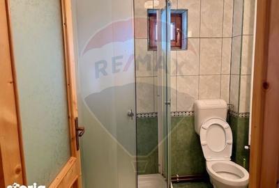 Casă cu 6 camere cu Teren 1123 Mp în Ocna Șugatag - 5