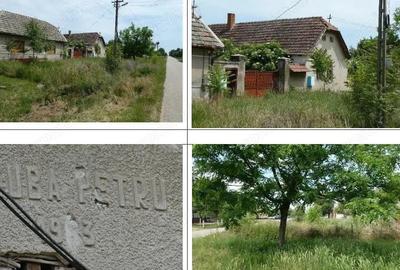 Cota de 1/2 din casa si teren, loc. loc. Graniceri, jud. Arad - 2