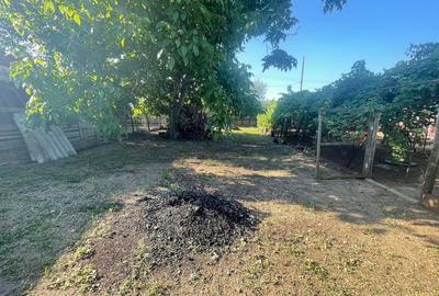 Casă cu 3 camere în Radovan - 10