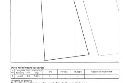 Teren de vanzare in Otopeni - 5.000 mp. Teren de vanzare in Otopeni - 5.000 mp. - 3