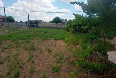 Teren de vanzare Valu lui Traian - 3