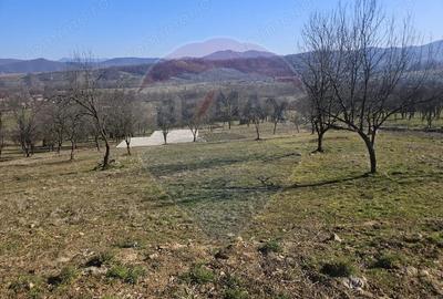 Teren de 4627 mp, în Giulești - 6
