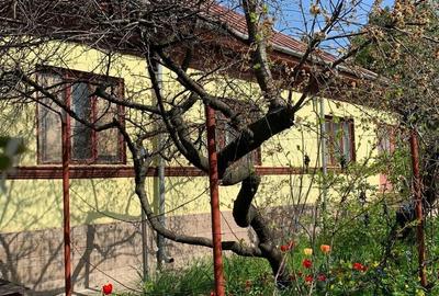 Casă cu 5 camere cu Teren 1600 Mp în Pietroasele - 4