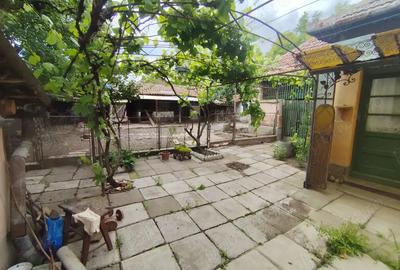 Casa de vanzare in Pecica - 7