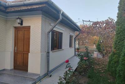 Casa Renovata Afumati I Teren 1100mp I Toate Utilitatile - 2