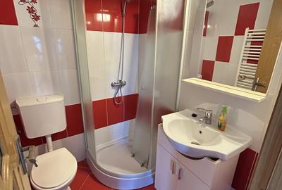 Apartament cu 3 camere decomandat în Girocului - 22