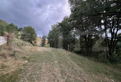 Teren de 1585 mp, în Central - 5