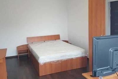 De inchiriat apartament cu o camera in zona Dambovita - 3