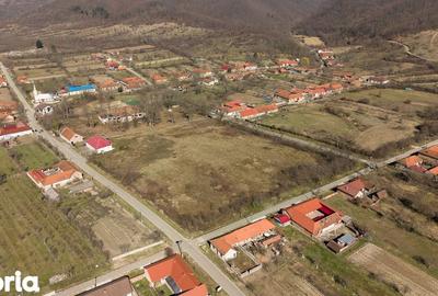 Casă cu 8 camere cu Teren 7235 Mp în Traian Vuia - 7