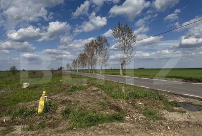 Teren Construcții intravilan de 1308 mp, în Pielești - 2