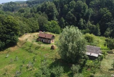 Teren de vanzare in comuna Cicane?ti, sat Bara?ti, Judet Arges. - 5