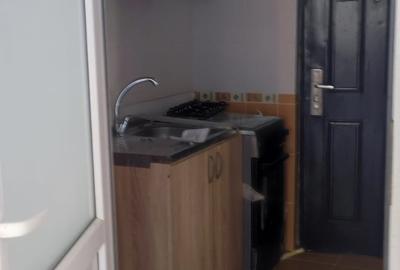 Garsonieră decomandată în 13 Decembrie - 3