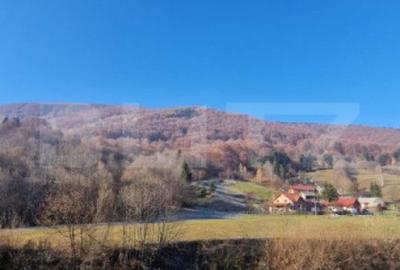 Teren de 6823 mp, în Central