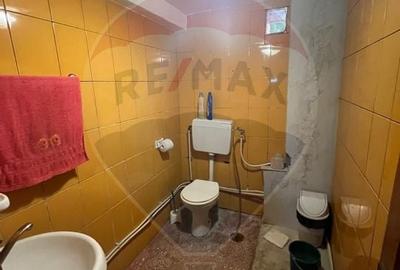 Casa -magazin Golesti - 5