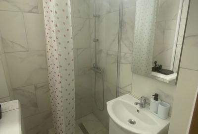 Apartament cu 2 camere decomandat în Centura - 4