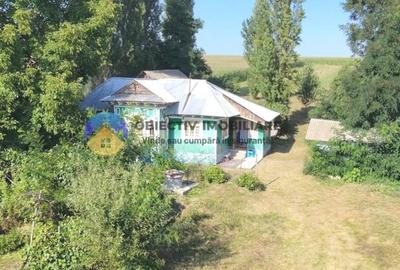 Casă individuală cu 2 camere cu Teren 4500 Mp în Dragomirești - 1