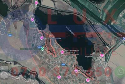 Teren de 4200 mp, în Murighiol - 2