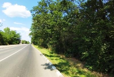 MEGA OCAZIE SE VINDE TEREN DE 3500 DE METRI IN SNAGOV-CIOFLICENI - 4