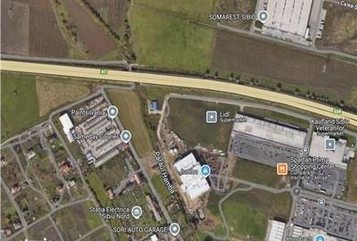 Teren de 6500 mp, în Veterani - 3
