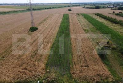 Teren de 1650 mp, în Răzvad