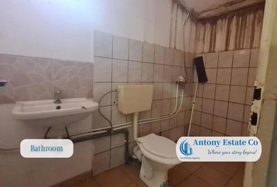 Spațiu comercial, de 90 mp, în Rogerius - 4