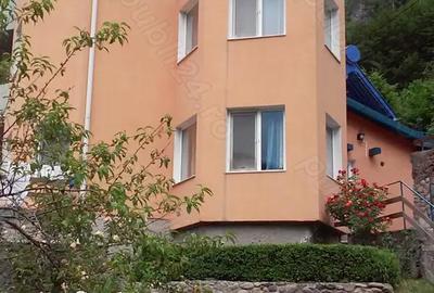 Casă cu 6 camere în Băile Herculane - 4