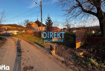 Casă cu 5 camere cu Teren 10000 Mp în Monor - 4
