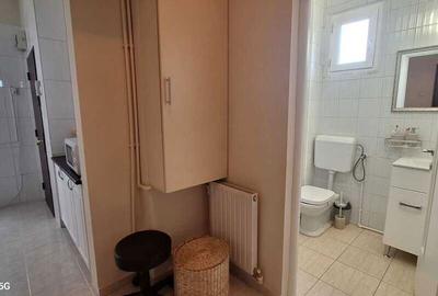 Apartament cu 2 camere semidecomandat în Parcul Carol - 2