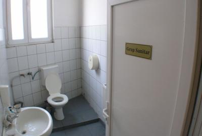 Spa?iu comercial - Kogalniceanu 395 mp - 3