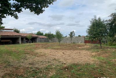 Casă cu 6 camere în Belinț - 3