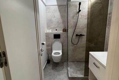Apartament cu 3 camere decomandat în Văcăresti - 7
