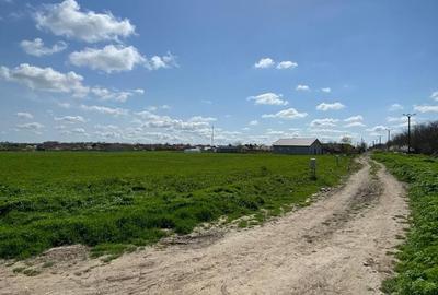 Teren agricol intravilan de 1417 mp, în Valea Dacilor - 3