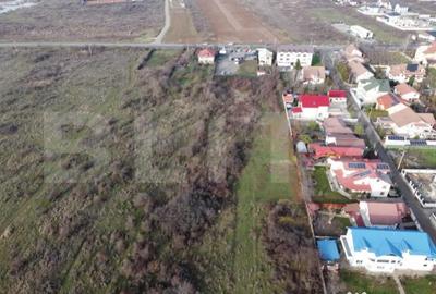 Teren de 5532 mp, în Priseaca - 3