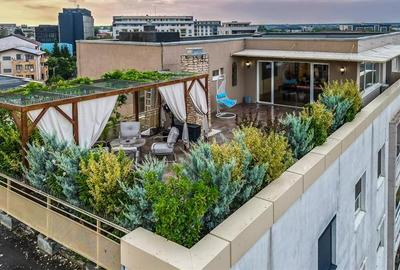 Penthouse cu 4 camere semidecomandat, mobilat în Aviației - 38