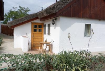 Casă cu 4 camere în Letea - 6