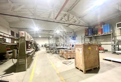 Hala industriala - zona Aradul Nou - 11