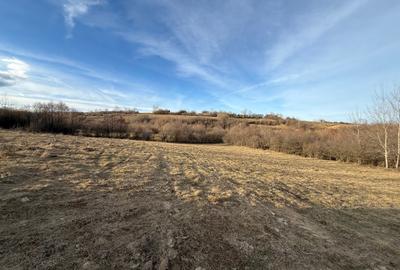 Teren Construcții intravilan de 500 mp, în Bran - 9