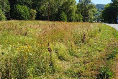 TEREN INTRAVILAN IN MARGA-LA DN68 JUD.CARA?-SEVERIN - 8