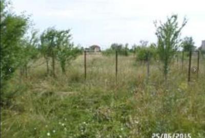 Teren Construcții intravilan de 3200 mp, în Clinceni - 1